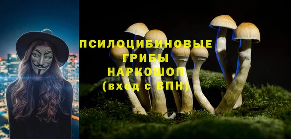 MDMA Premium VHQ Богородицк