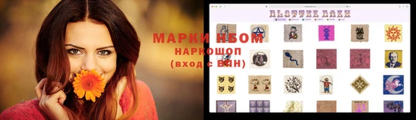 ешки Богданович