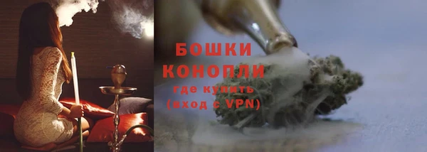 сатива Беломорск