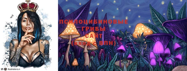 сатива Беломорск