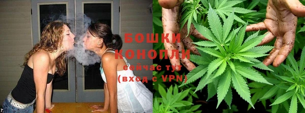 прущие крисы Белокуриха