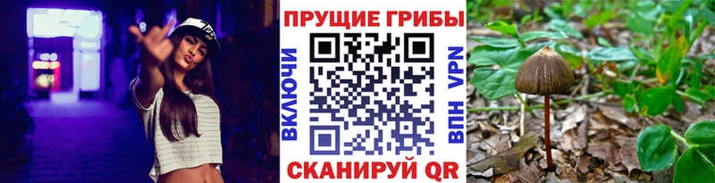 Псилоцибиновые грибы мухоморы  Белокуриха 