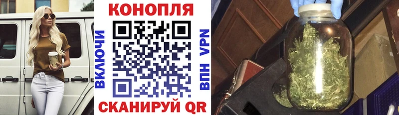 Каннабис OG Kush  купить  сайты  Белокуриха 